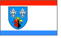 Flag of Bełchatowski County