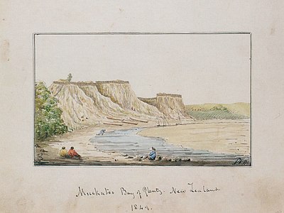 Mockatoo Bay of Plenty, New Zealand, 1849