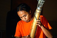 Musician Wukir Suryadi of the Indonesian band Senyawa plays a modernized tube zither. Instead of pegs to tighten metal strings, the instrument has a guitar-style head with mechanical tuners. Senyawa Wukir Suryadi.jpg