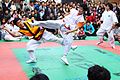 Taekkyeon