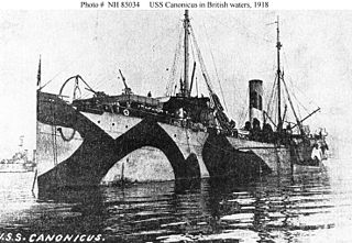 USS <i>Canonicus</i> (ID-1696)