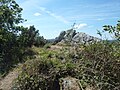 Le sommet de Ménez Landivigen (260 mètres d'altitude) situé près du « jardin Picart ».