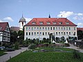 Schloss Binau – im 19. Jahrhundert im Besitz der Grafen von Waldkirch