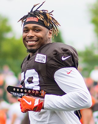 <span class="mw-page-title-main">Christian Kirksey</span> American football player (born 1992)