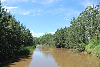 <span class="mw-page-title-main">Mary River (Queensland)</span> River in Queensland, Australia