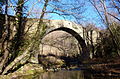 Pont de Vallfogona (Vallfogona de Ripollès)