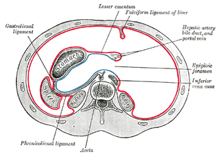 Omental foramen