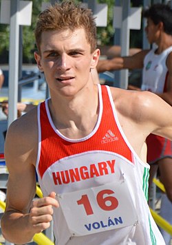 Harangozó Bence a 2013-as székesfehérvári junior öttusa-világbajnokságon Fotó: Róth Tamás