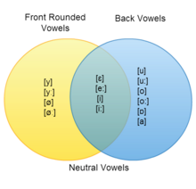 A Venn diagram of Hungarian vowel harmony, featuring front rounded vowels, front unrounded vowels ("neutral" vowels), and back vowels. HungarianVowelHarmony.png