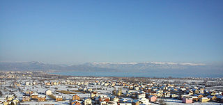 <span class="mw-page-title-main">Radolišta</span> Village in Southwestern, North Macedonia