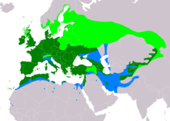 Distribución de Linaria cannabina