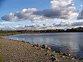 Lochend Loch, Drumpellier Country Park (2008)