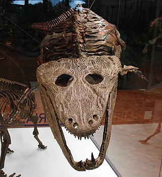 <i>Mastodonsaurus</i> Extinct genus of temnospondyls