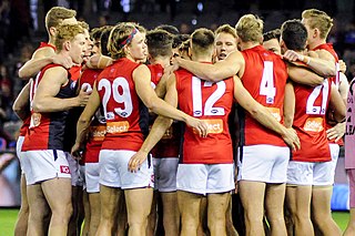 <span class="mw-page-title-main">2017 Melbourne Football Club season</span> Australian rules football club season