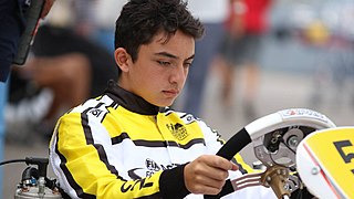 <span class="mw-page-title-main">Nico Pino</span> Chilean racing driver (born 2004)