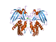 PDB 2gjt EBI.png