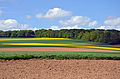 * Nomination Fields in the Authie valley , Somme --Pline 20:21, 16 May 2013 (UTC) * Promotion  Support Ok--Lmbuga 19:02, 17 May 2013 (UTC)