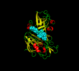 <span class="mw-page-title-main">Plasmepsin</span> Group of Plasmodium enzymes