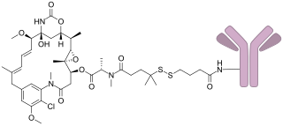 <span class="mw-page-title-main">Indatuximab ravtansine</span> Chemical compound