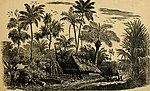 Thumbnail for History of the Bahamas