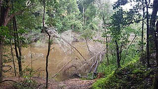 <span class="mw-page-title-main">Wyong River</span> River in New South Wales, Australia