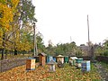 Apiary named after P.I. Prokopovych.
