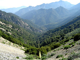 <span class="mw-page-title-main">Angeles National Forest</span> National forest in California, United States