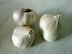 Garlic