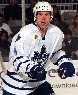 <span class="mw-page-title-main">Brad Brown</span> Canadian ice hockey player (born 1975)