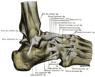 <span class="mw-page-title-main">Ottawa ankle rules</span> Medical guidelines