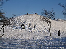 Pulkaåkning på kullarna