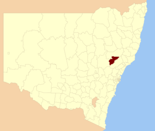 <span class="mw-page-title-main">Muswellbrook Shire</span> Local government area in New South Wales, Australia