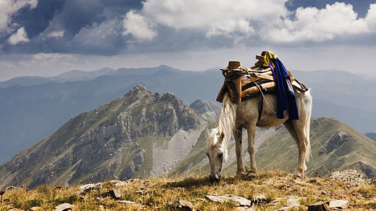 High on Krchin, part of Mavrovo National Park. Author: MartinDimitrievski — Martin Dimitrievski