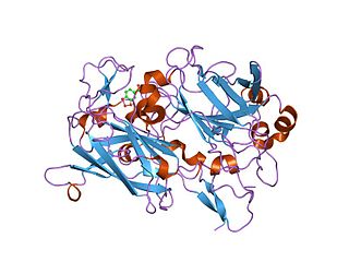 <span class="mw-page-title-main">Dioxygenase</span> Class of enzymes