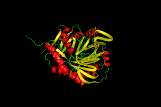 <span class="mw-page-title-main">Aminodeoxychorismate synthase</span>