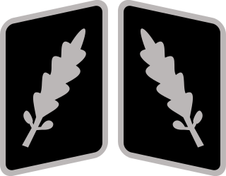 <i>Standartenführer</i> Paramilitary officers rank in Nazi Germany