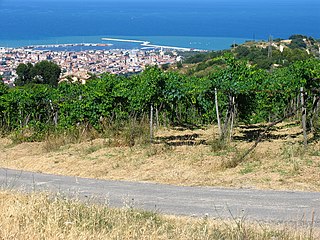 <span class="mw-page-title-main">San Benedetto del Tronto</span> City and comune in Marche, Italy