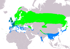 Distribución de Scolopax rusticola