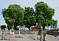 * Nomination Three horse-chestnut trees (Aesculus hippocastanum) in bloom, seen from the churchyard, Saint-Pierre-d'Exideuil, Vienne, France. --JLPC 17:27, 9 May 2013 (UTC) * Promotion -- Christian Ferrer 17:46, 9 May 2013 (UTC)