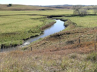 <span class="mw-page-title-main">Yarrowitch River</span> River in New South Wales, Australia