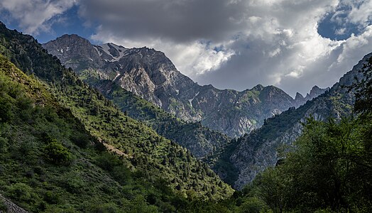 Ugom Chatkal State National Natural Park author — Marat Nadjibaev