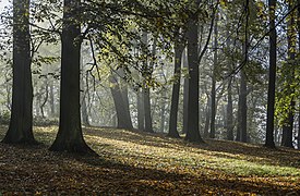 Park at Noworudzka Street in Kłodzko