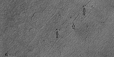 Close view of polygons, as seen by HiRISE under HiWish program. Arrow point to boulders that sit inside of small craters.