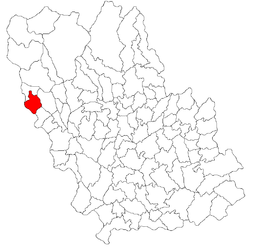 Adunați – Mappa