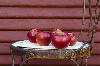 <span class="mw-page-title-main">Arkansas Black</span> Apple cultivar