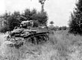 Les chars trouent le bocage pour les troupes (guerre des Haies, Archives B.N)