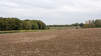 Field with fine tilth - geograph.org.uk - 5568407.jpg