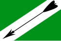 Flag of Demidovsky District