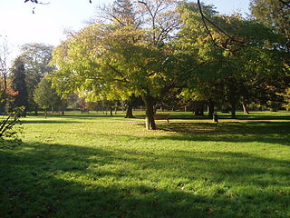 <span class="mw-page-title-main">Hampton Court Park</span> Park in South London, England, UK