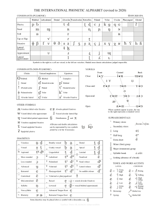 <span class="mw-page-title-main">International Phonetic Alphabet</span> System of phonetic notation